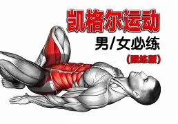 里尔训练开放日，关键时刻扳平良机引欢呼，足总杯在即，纪律约束更严格